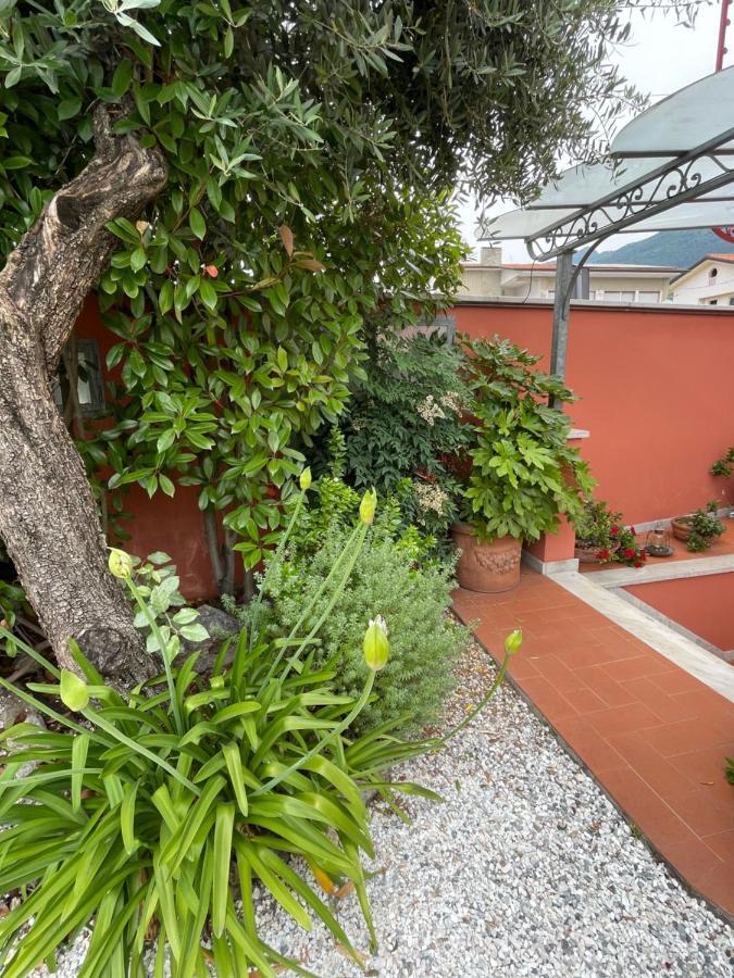 In Versilia 塞拉韦扎 外观 照片