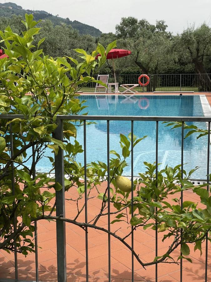 In Versilia 塞拉韦扎 外观 照片