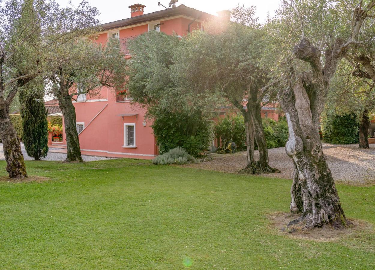 In Versilia 塞拉韦扎 外观 照片