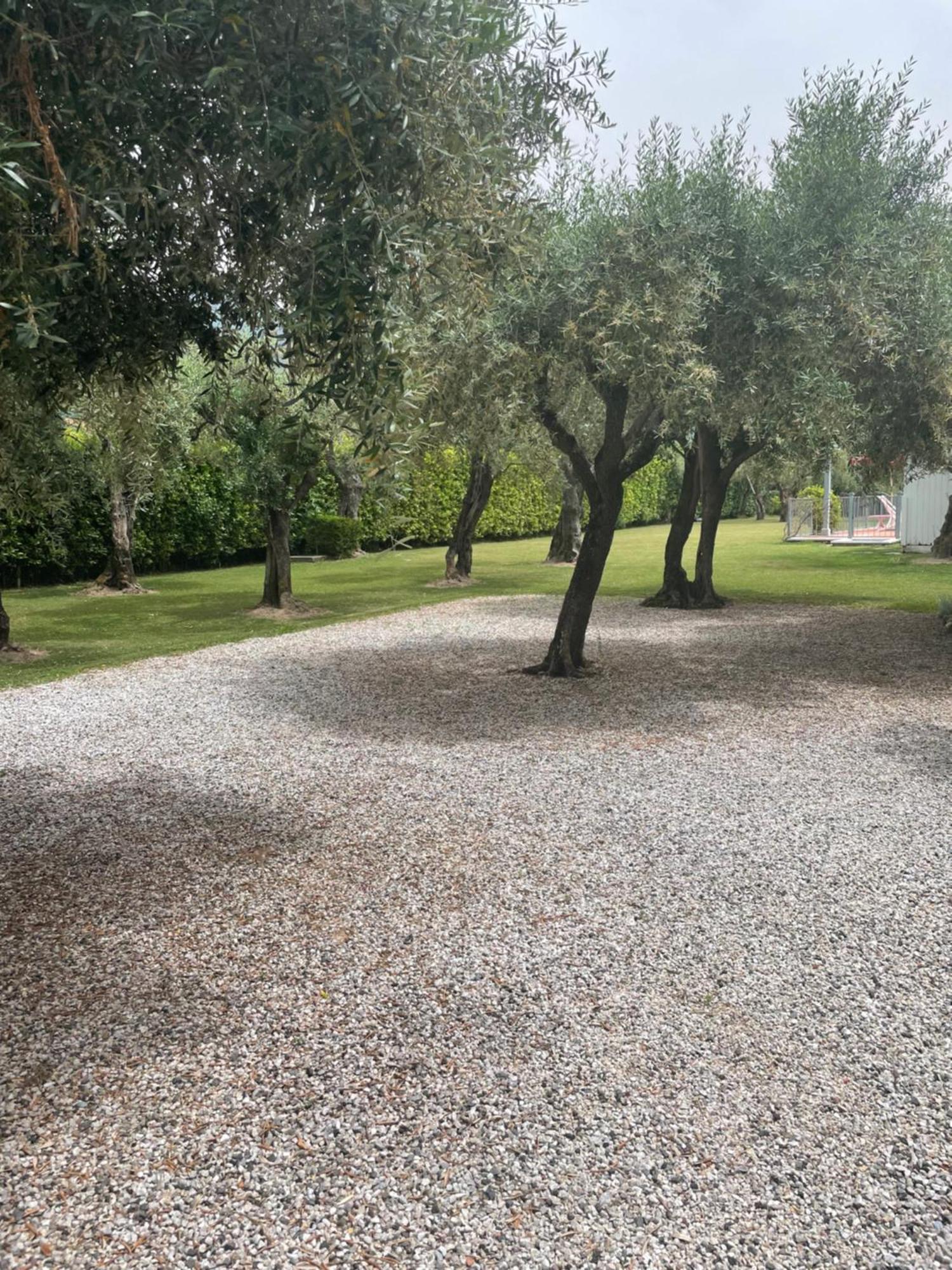 In Versilia 塞拉韦扎 外观 照片